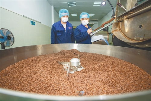從田間到舌尖 海南農墾發力精深加工，讓土特產鏈上“新食尚”